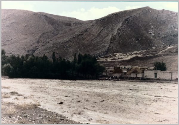 maku-8