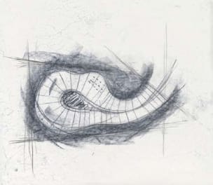 Pritzker2009-1