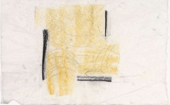 Pritzker2009-10