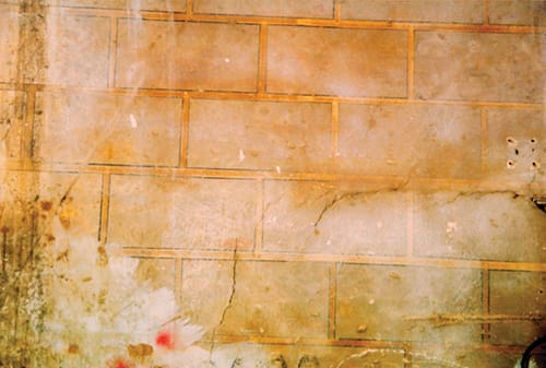 duggan_fotograf_3