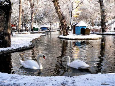 17 Nisan 2012, Salı – 19.30 Sergi : Selçuk Milar Afişleri Sergisi / Sunuş: 1950’le Ankara’sında Sanat Galerileri