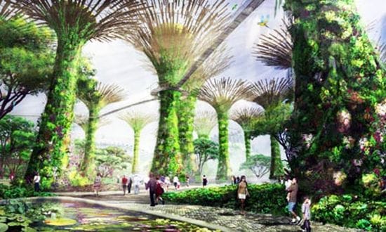 gardens-by-the-bay-singapore-2_sglrZ_11446