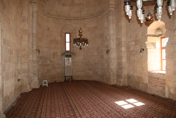 yag-cami-18