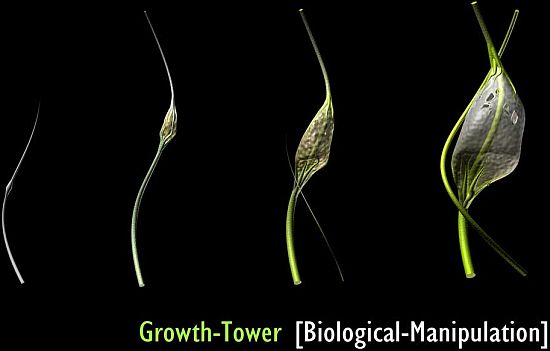 growth-tower-1_mn5lh_11446.jpg