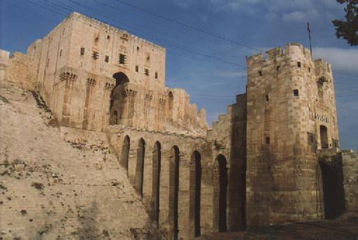 halep-6