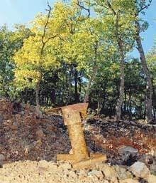 Kaz Dağı’nda her gün altın topluyoruz