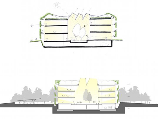 parma-6