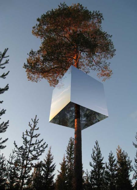 nature-2