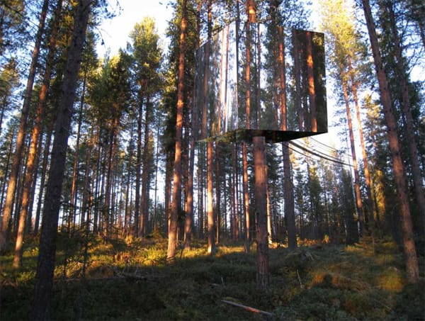 nature-3