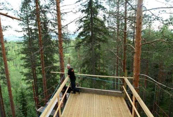 nature-4
