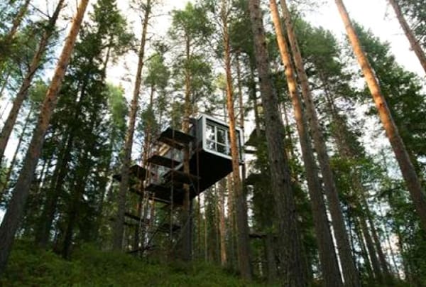 nature-5
