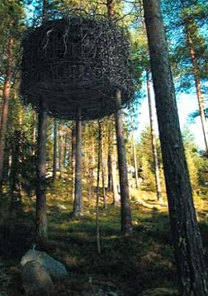 nature-6