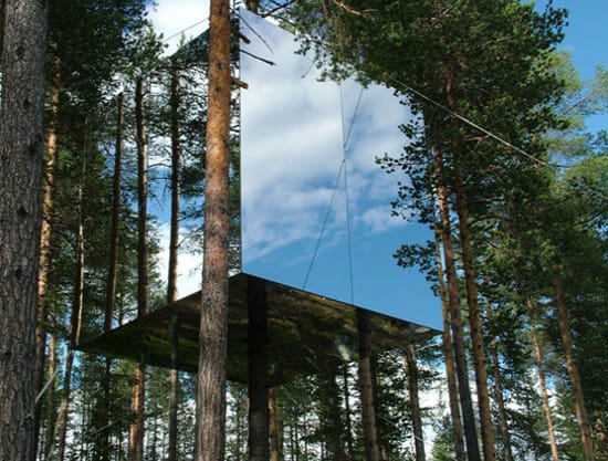 nature-8