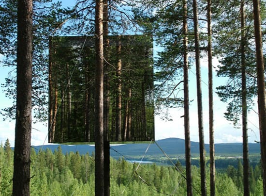 nature-9