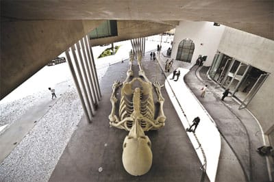 roma-tarihi-maxxi1.jpg