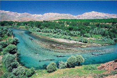 Başınıza Munzur Dağı kadar taş düşsün!
