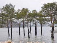 TMMOB-Abant.jpg
