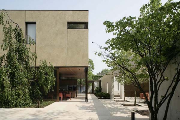 Orchard-East-9