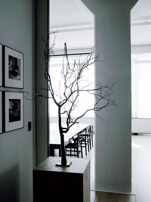 Tribeca-3