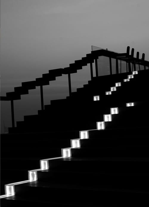 Zense-19