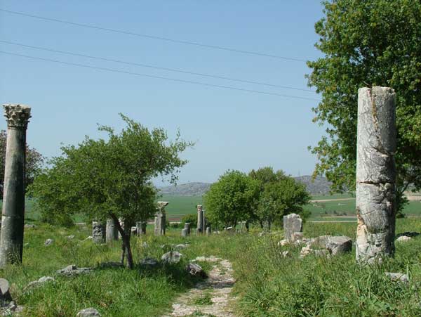 kastabala2