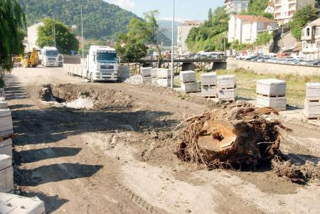 koruma-altinda-cinar.jpg