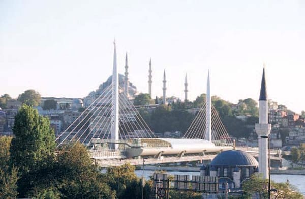 Koruma, Yakın Koruma, Sakın Koruma! / Doğan Hasol