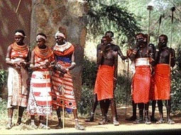 madagaskar-toki.jpg