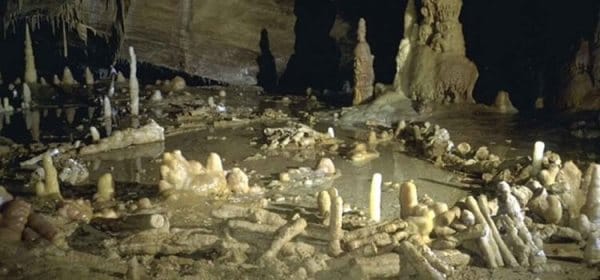 Neandertaller 175.000 Yıl Önce Halka Yapılar İnşa Etti