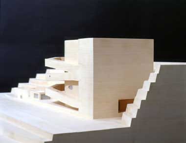 ICM-25