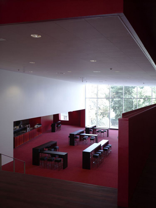 Amphion-13