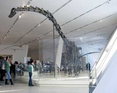 ROM-16