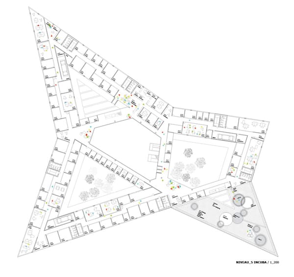 navitas-21