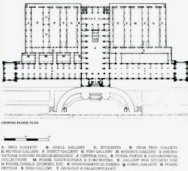 resim-151.jpg