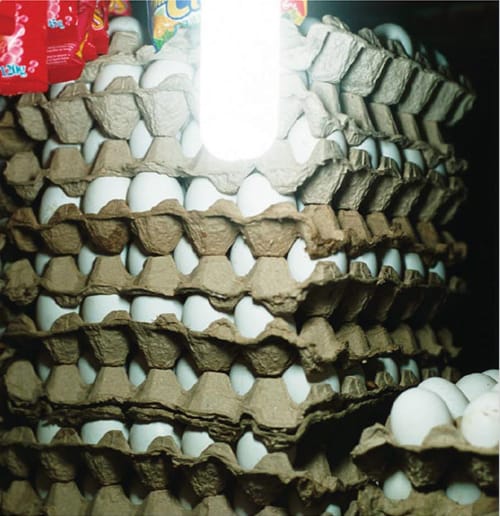 Çağdaş Fotoğraf Serisi (26 Kasım 2011)