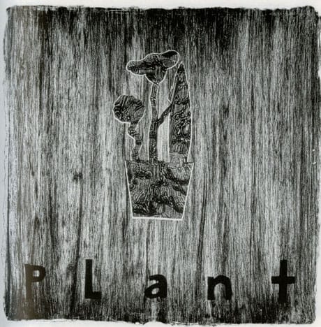 lynch-2