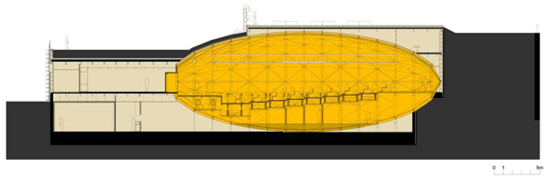 seed-10.jpg
