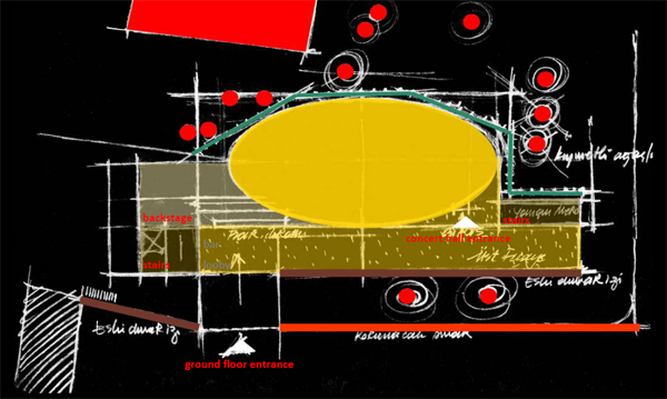 seed-8.jpg