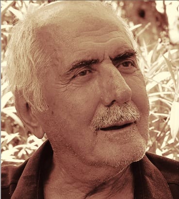 turgutcansever(1)