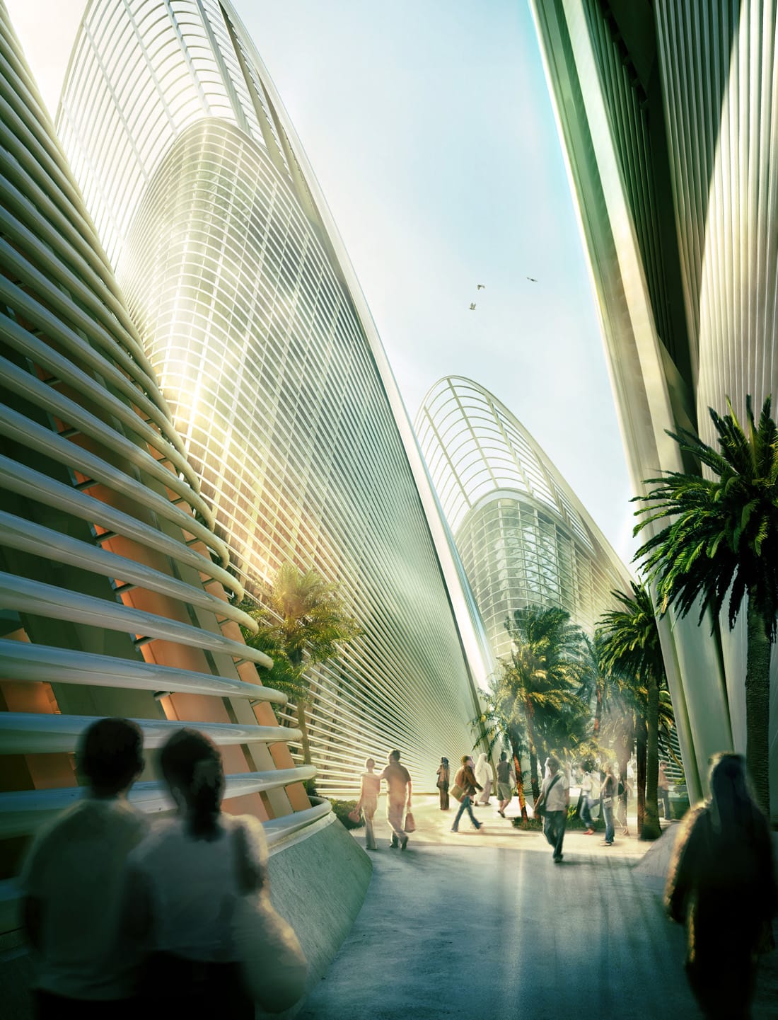 zayednationalmuseum5x11